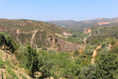 Yunanistan 'ın Girit Adası' nın batı kesiminde, Fournes 'teki zeytin ağaçları, tepeler ve tarlalarla manzara.