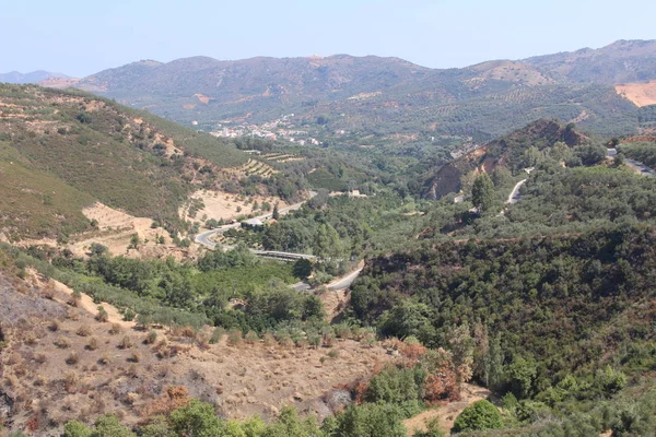 Landscape Olive Trees Hills Fields Fournes Western Inner Part Crete — Stock Photo, Image