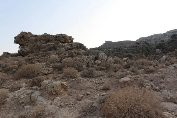 Sheep Grazing Rough Terrain Balos Lagoon Trail Northwestern Part Crete — Stock Photo, Image