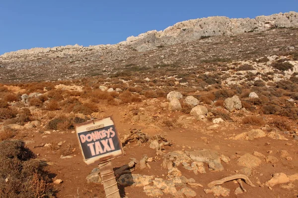 Donkeys Taxi Написала Дошка Лагуні Північно Західній Частині Острова Крит — стокове фото