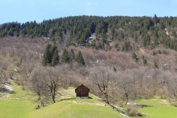Alleenstaande Houten Hut Groen Alpengebergte Brand Bludenz Vorarlberg Oostenrijk — Stockfoto