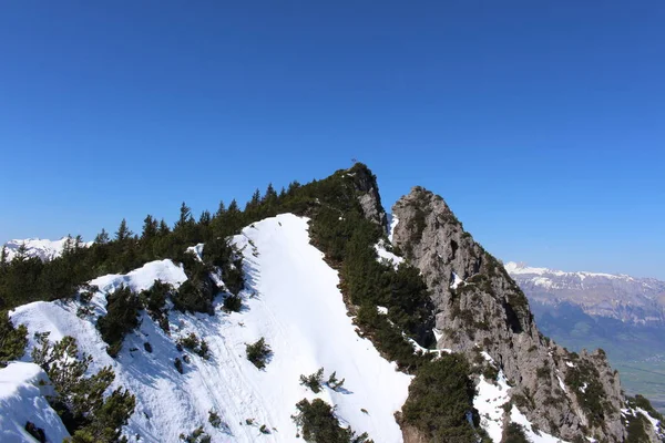 Paisaje Las Montañas Nevadas Los Alpes Con Bosques Tomado Del —  Fotos de Stock