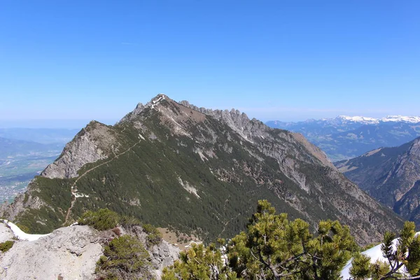 Paysage Des Montagnes Enneigées Des Alpes Avec Des Forêts Prises — Photo