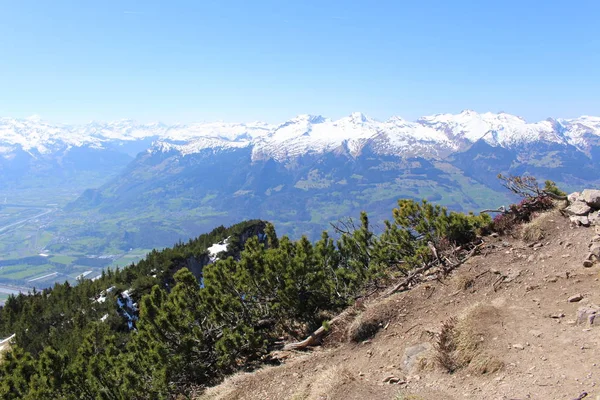 Paysage Des Montagnes Enneigées Des Alpes Avec Des Forêts Prises — Photo