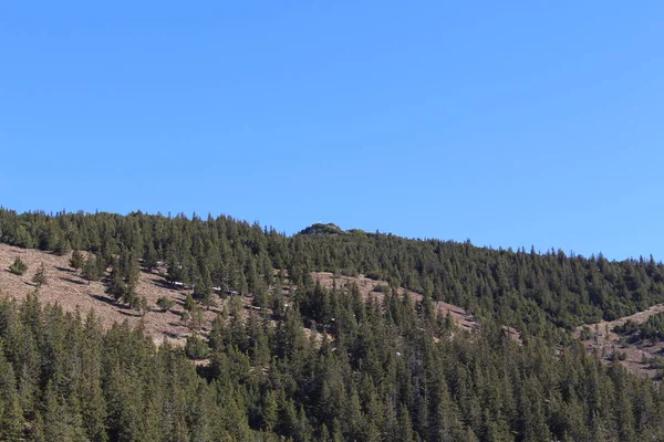 Пейзаж Снежных Гор Альпы Лесами Взятых Пика Альпшпиц Деревне Гафлей — стоковое фото