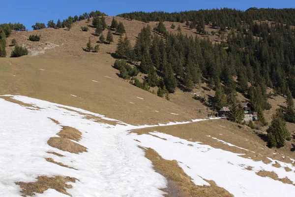 Paisaje Las Montañas Nevadas Los Alpes Con Bosques Tomado Del — Foto de Stock