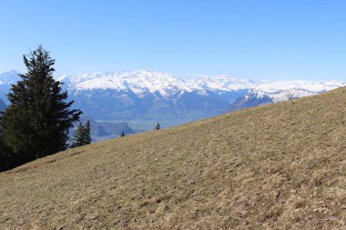 Lihtenştayn Prensliği 'nin Triesenberg belediyesine bağlı Gaflei köyündeki Alpspitz tepesinden ormanlı karlı Alp dağlarının manzarası.
