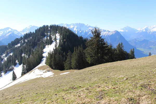 Landschap Van Besneeuwde Alpenbergen Met Bossen Genomen Vanaf Alpspitz Piek — Stockfoto