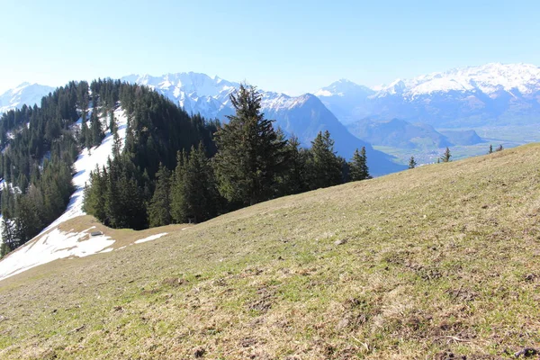 Paisaje Las Montañas Nevadas Los Alpes Con Bosques Tomado Del —  Fotos de Stock