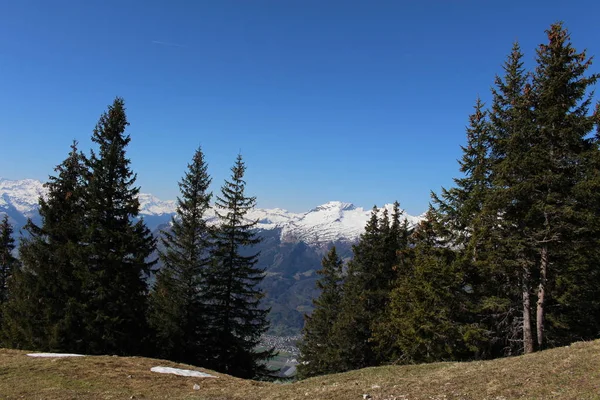 Paisaje Las Montañas Nevadas Los Alpes Con Bosques Tomado Del — Foto de Stock