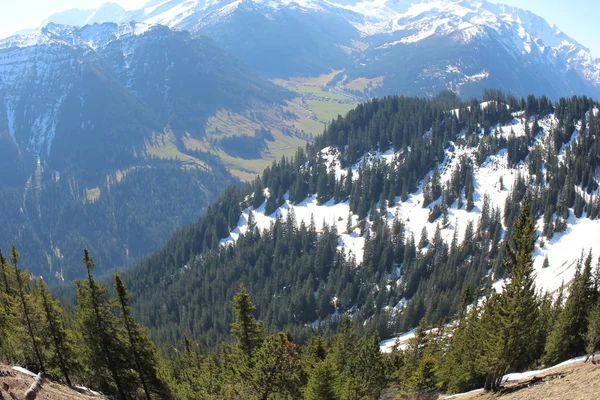 Paisaje Las Montañas Nevadas Los Alpes Con Bosques Tomado Del — Foto de Stock