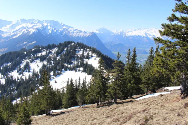 Paysage Des Montagnes Enneigées Des Alpes Avec Des Forêts Prises — Photo