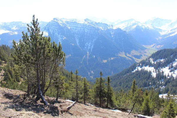 Paysage Des Montagnes Enneigées Des Alpes Avec Des Forêts Prises — Photo