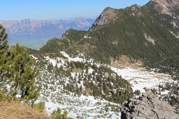 Paysage Des Montagnes Enneigées Des Alpes Avec Des Forêts Prises — Photo