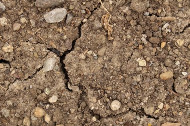 Küresel ısınma ve kuraklık kavramı olarak zemin çöktü