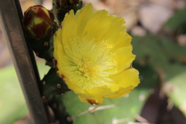 İsviçre 'nin St. Gallen kentinde bulunan 