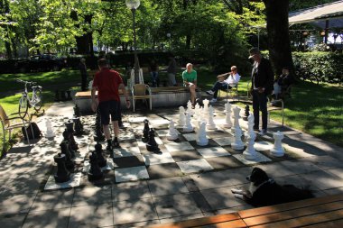 Bregenz, Vorarlberg, Avusturya - 4 Haziran 2017: Constance Gölü kıyısındaki Strandweg Caddesi yakınlarındaki gerçek boyutlarda olan siyah beyaz açık hava satranç tahtasında iki adam satranç oynuyor.