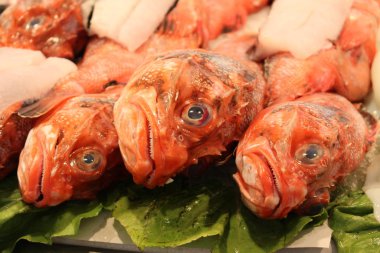 Balık pazarında taze 