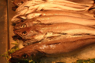 Balık pazarında keskin dişleri olan taze 