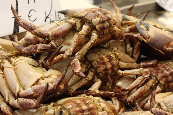 Fresh crabs on the fish market counter.