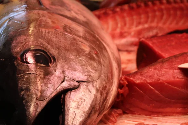 Atum Fresco Filé Atum Picado Balcão Mercado Peixe — Fotografia de Stock