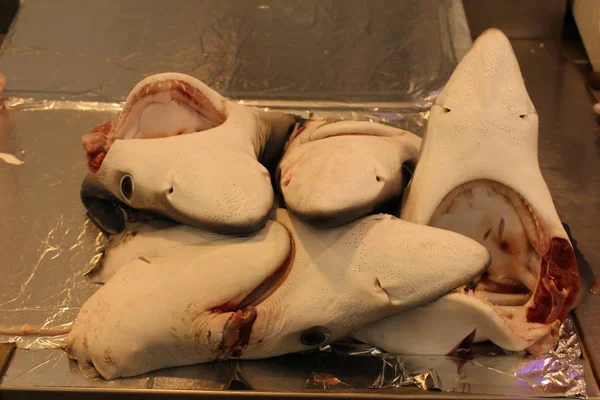 Κεφαλές Καρχαριών Στον Πάγκο Της Τοπικής Αγοράς Ψαριών — Φωτογραφία Αρχείου