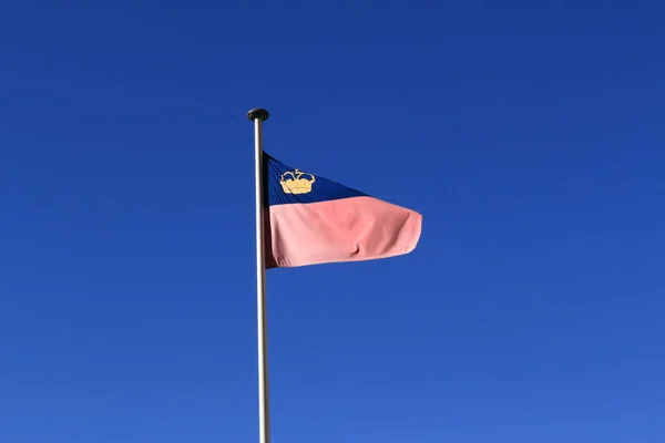 Real Liechtenstein National Flag Fluttering Flag Pole Wind Isolated Real — Stock Photo, Image