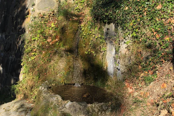 Fonte Água Nascente Natural Uma Floresta Vaduz Liechtenstein Europa — Fotografia de Stock