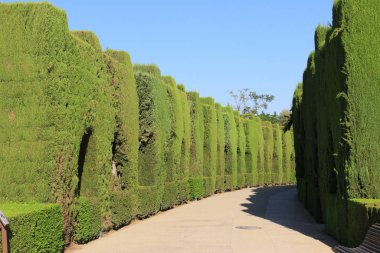 Granada, Endülüs, İspanya 'daki tarihi Alhambra sarayı ve kale kompleksinin avlusu..