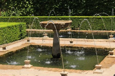 Granada, Endülüs, İspanya 'daki Alhambra sarayı ve kale kompleksindeki Generalife bahçelerindeki Sultanas Kıbrıs Ağacı (Patio de la Sultana) sarayı..