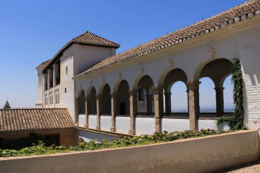 Granada, Endülüs, İspanya 'daki Alhambra sarayı ve kale kompleksindeki Generalife bahçelerindeki Sultanas Kıbrıs Ağacı (Patio de la Sultana) sarayı..