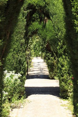 Generalife gardens at the historical Alhambra palace and fortress complex in Granada, Andalusia, Spain. clipart