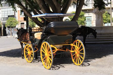 Seville, Endülüs, İspanya - 31 Temmuz 2017: Avenida de la Constitucion Meydanı 'nda küp şeklinde bir çalılığın altında bekleyen geleneksel at ve araba.