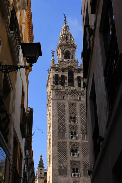 Zvonice Giralda Sevillské Katedrály Catedral Santa Mara Sede Seville Andalusie — Stock fotografie