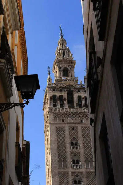 Der Glockenturm Giralda Der Kathedrale Von Sevilla Catedral Santa Mara — Stockfoto