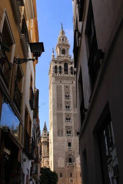 Zvonice Giralda Sevillské Katedrály Catedral Santa Mara Sede Seville Andalusie — Stock fotografie