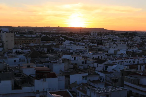 Seville City View Sundown Top Metropol Parasol Setas Sevilla Building — Stock Photo, Image