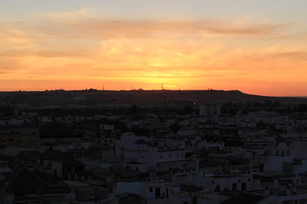 Seville city view at sundown from top of the Metropol Parasol (Setas de Sevilla) building.