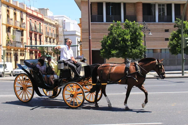 Sevilla Andalúzia Spanyolország 2017 Augusztus Paseo Cristobal Colon Utcán Utazó — Stock Fotó