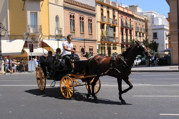 Sevilla Andalúzia Spanyolország 2017 Augusztus Paseo Cristobal Colon Utcán Utazó — Stock Fotó