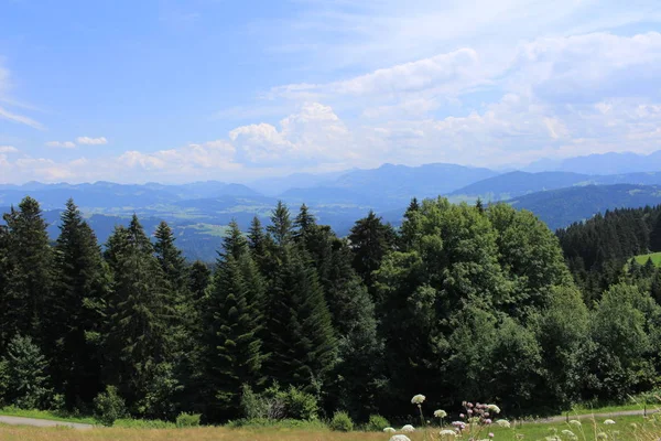 Beautiful green Alp mountains and hills from Pfaender Mountain in Bregenz, Vorarlberg, Austria.