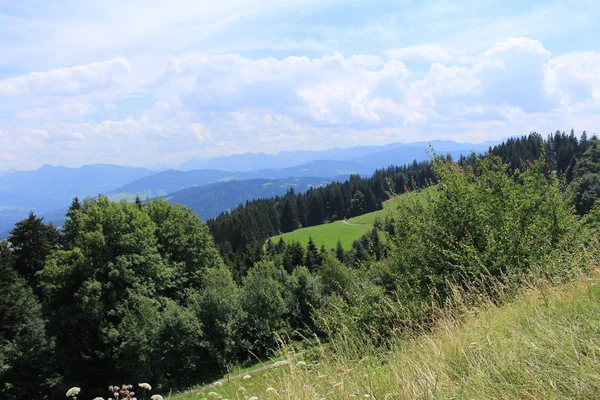 Prachtige Groene Alpen Heuvels Van Pfaender Mountain Bregenz Vorarlberg Oostenrijk — Stockfoto