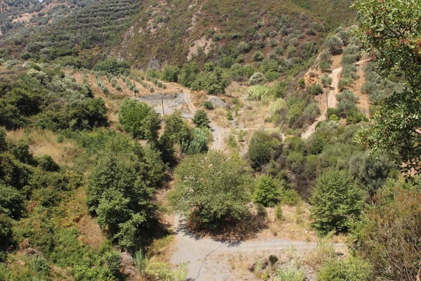 Groen Landschap Met Olijfbomen Van Zuid Chania Kreta Griekenland — Stockfoto