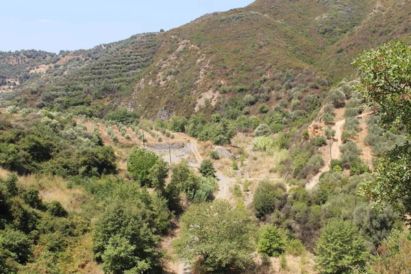 Groen Landschap Met Olijfbomen Van Zuid Chania Kreta Griekenland — Stockfoto