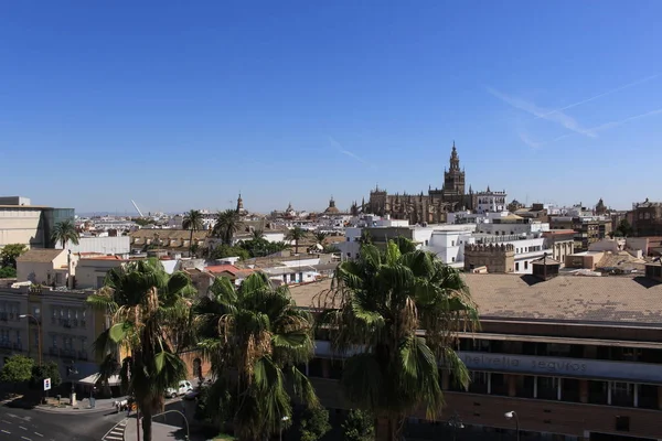 Aerial View Cathedral Saint Mary See Seville Cathedral Old City — Stock Photo, Image