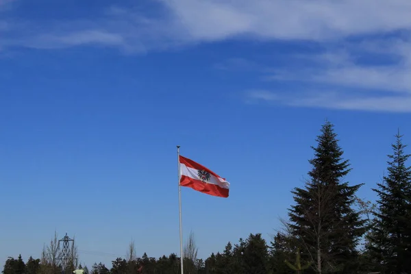 Oostenrijkse Vlag Wappert Wind Tegen Blauwe Lucht Achtergrond — Stockfoto