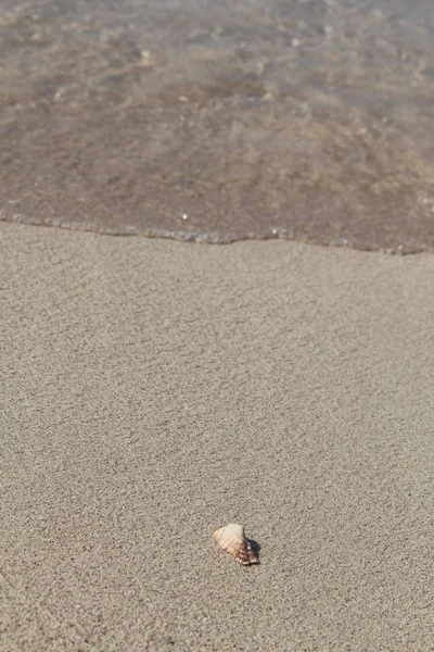 Broken Seashell Fine Sand Famous Balos Beach Crete Island Greece — Stok fotoğraf