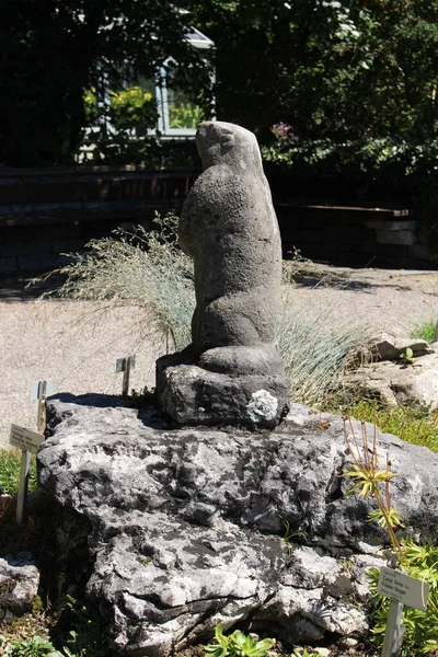 Gallen Switzerland August 2016 Standing Rodent Statue Made Stone Gallen — Zdjęcie stockowe