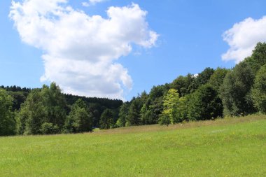 Ulm, Baden-Wuerttemberg, Almanya 'da orman, çayır ve mavi gökyüzü ile güzel bir yaz manzarası..