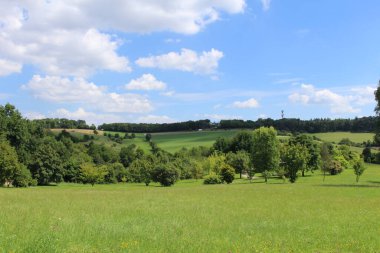 Ulm, Baden-Wuerttemberg, Almanya 'da orman, çayır ve mavi gökyüzü ile güzel bir yaz manzarası..